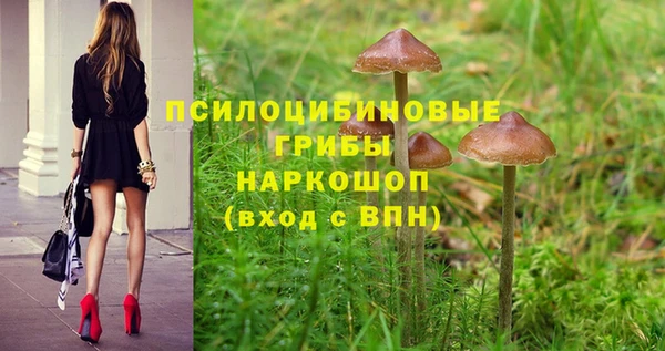 каннабис Алексеевка